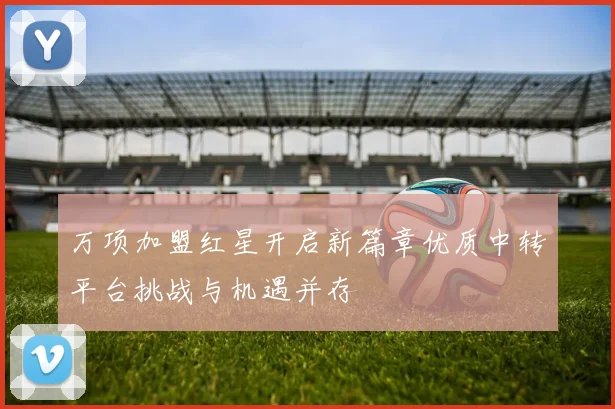 万项加盟红星开启新篇章优质中转平台挑战与机遇并存