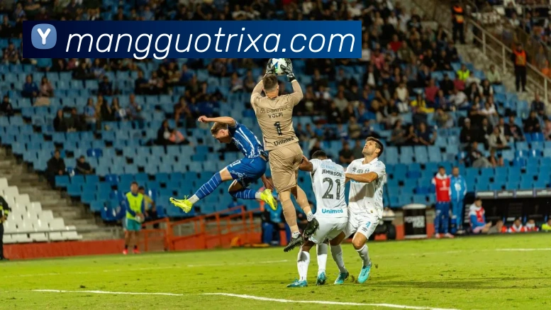 芒果体育服务体系